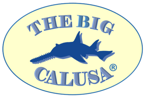 Big Calusa