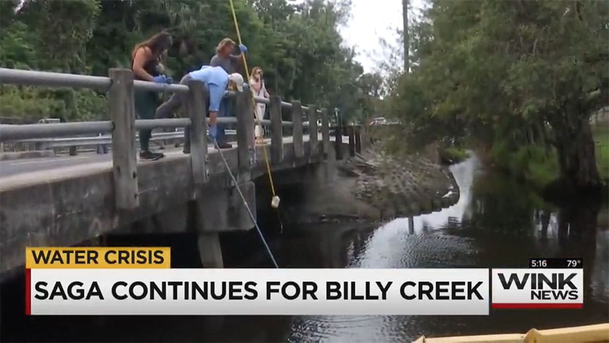 Billy's Creek pollution